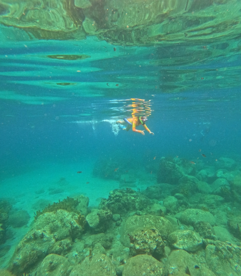 Snorkeler underwater in clear turquoise Caribbean water during a St. Lucia catamaran excursion